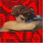 twitter avatar